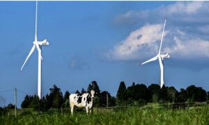 Windkraftgegner im Faktencheck