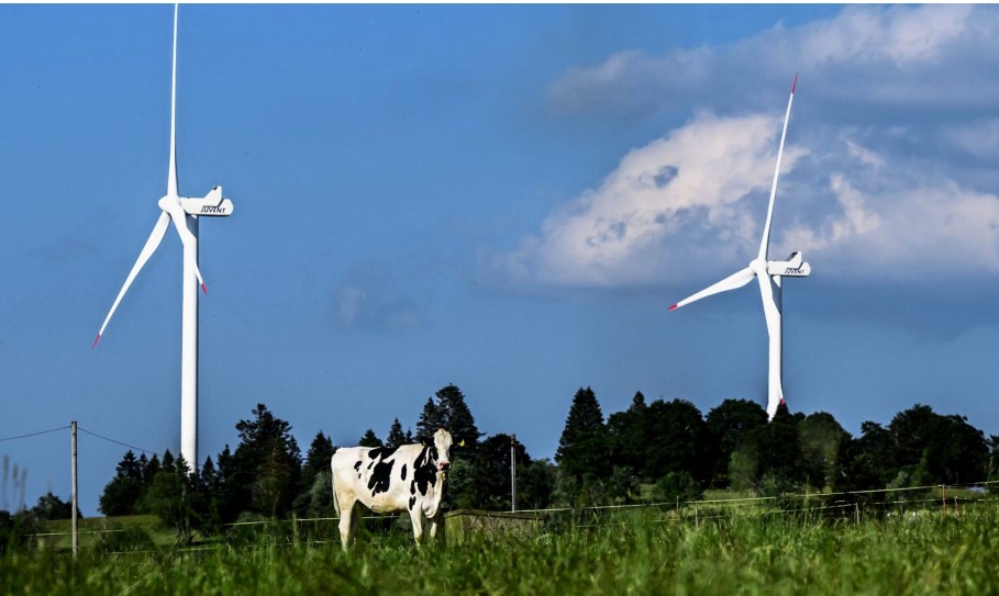 Zwei Windräder in einer Landschaft mit einer Kuh.